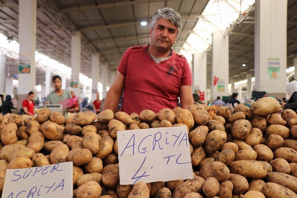 Nevşehir Ziraat Odası Başkanı Çelikbaş: "Patates fiyatları 1 ay içerisinde düşecek"