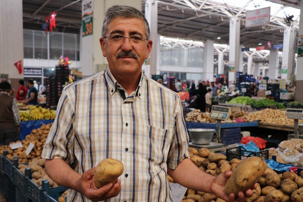 Nevşehir Ziraat Odası Başkanı Çelikbaş: "Patates fiyatları 1 ay içerisinde düşecek"