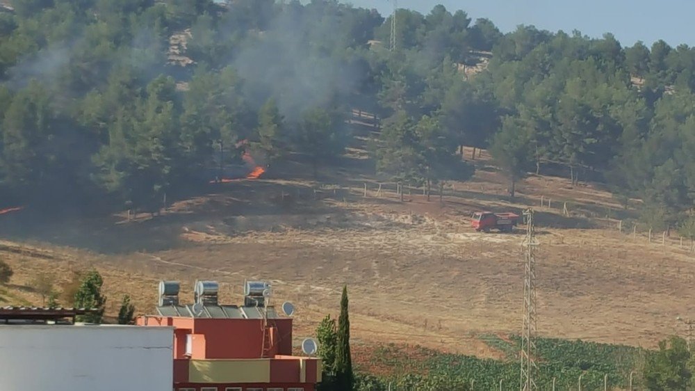 Karadağ Hatıra Ormanı 8. kez yandı