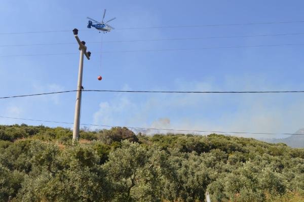 Erdek'te 10 hektar zeytinlik yandı