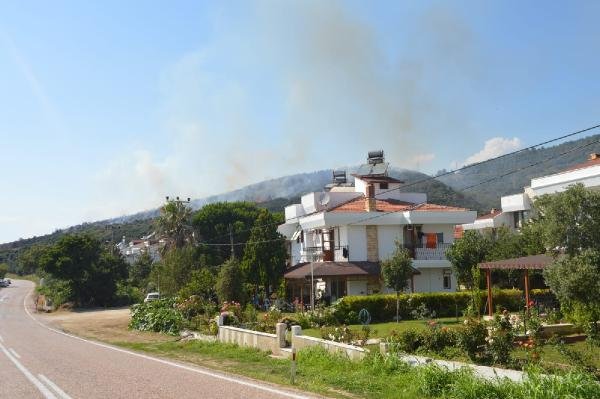 Erdek'te 10 hektar zeytinlik yandı
