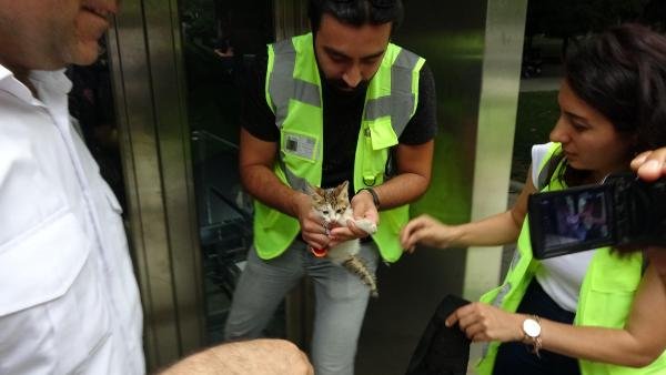 Taksim metrosunda mahsur kalan kedi kurtarıldı