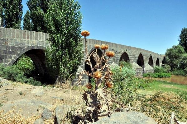 Diyarbakır'daki 800 yıllık köprü tarihe meydan okuyor
