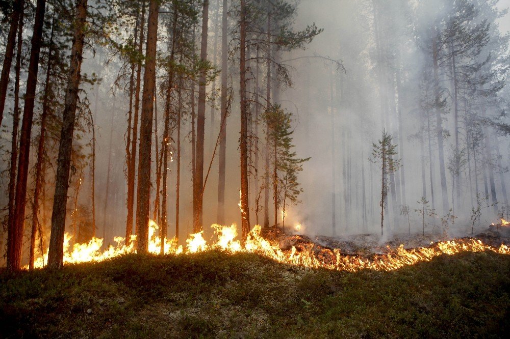 İsveç’te orman yangınları kontrol altına alınamıyor