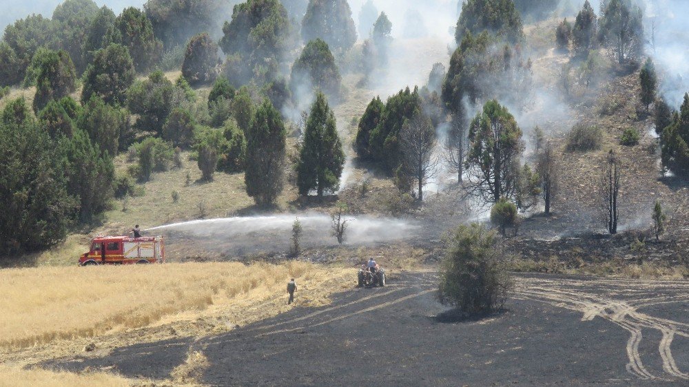 Konya’da ormanlık alana sıçrayan yangın