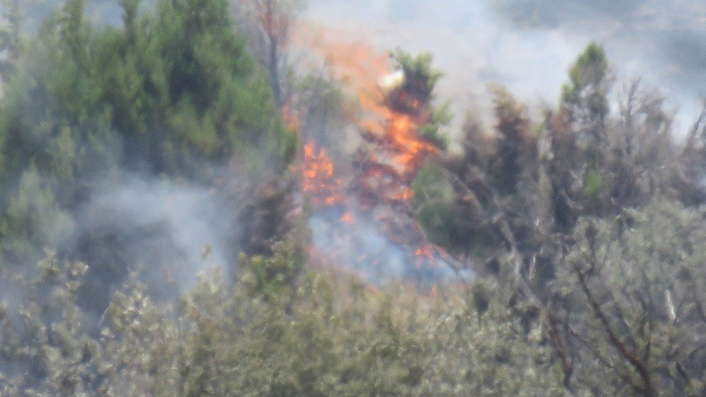 Konya’da ormanlık alana sıçrayan yangın