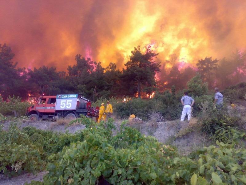 Aybal: "Orman yangınlarının başlıca sebebi dikkatsizlik ve ihmal"