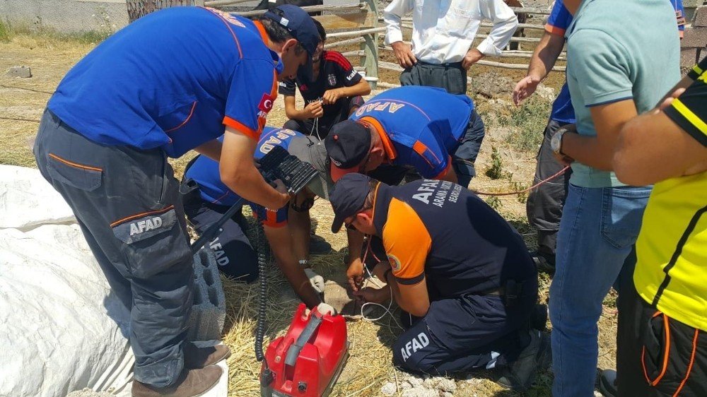 7 metrelik kuyuya düşen yavru köpek AFAD tarafından kurtarıldı