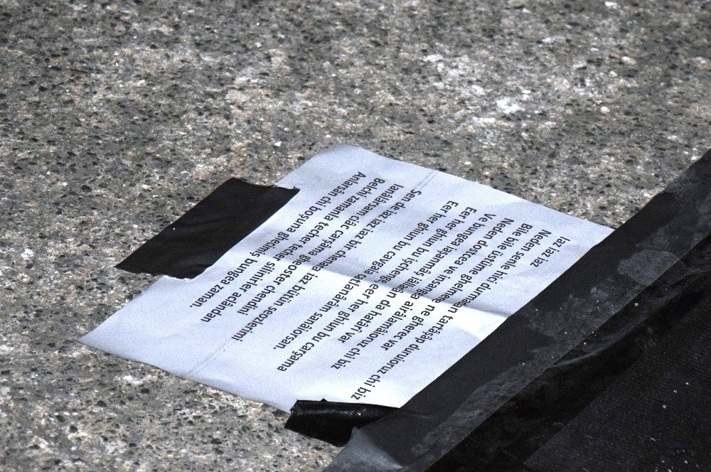 Inna, Ajda Pekkan’ın “Yaz yaz yaz” şarkısını kopya çekerek seslendirdi