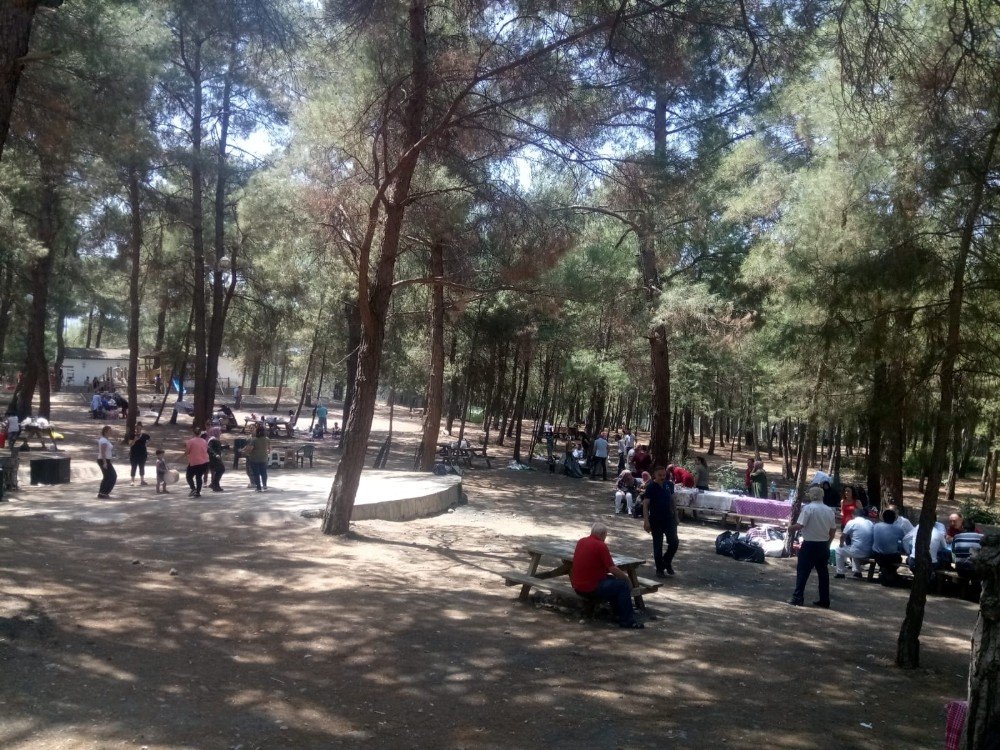 MHP Bayraklı piknikte buluştu