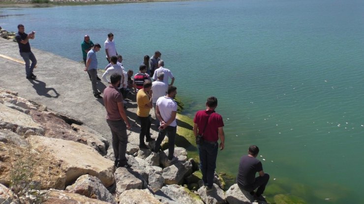Beyşehir Gölü’ne yavru sazan takviyesi