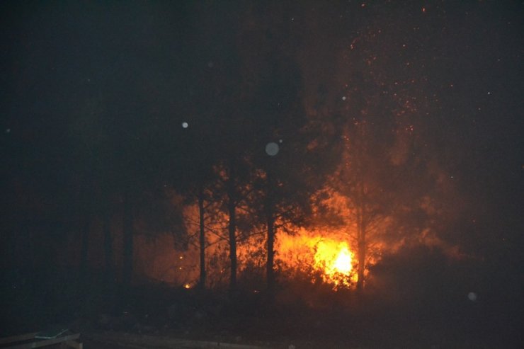 Kozan’da orman yangını