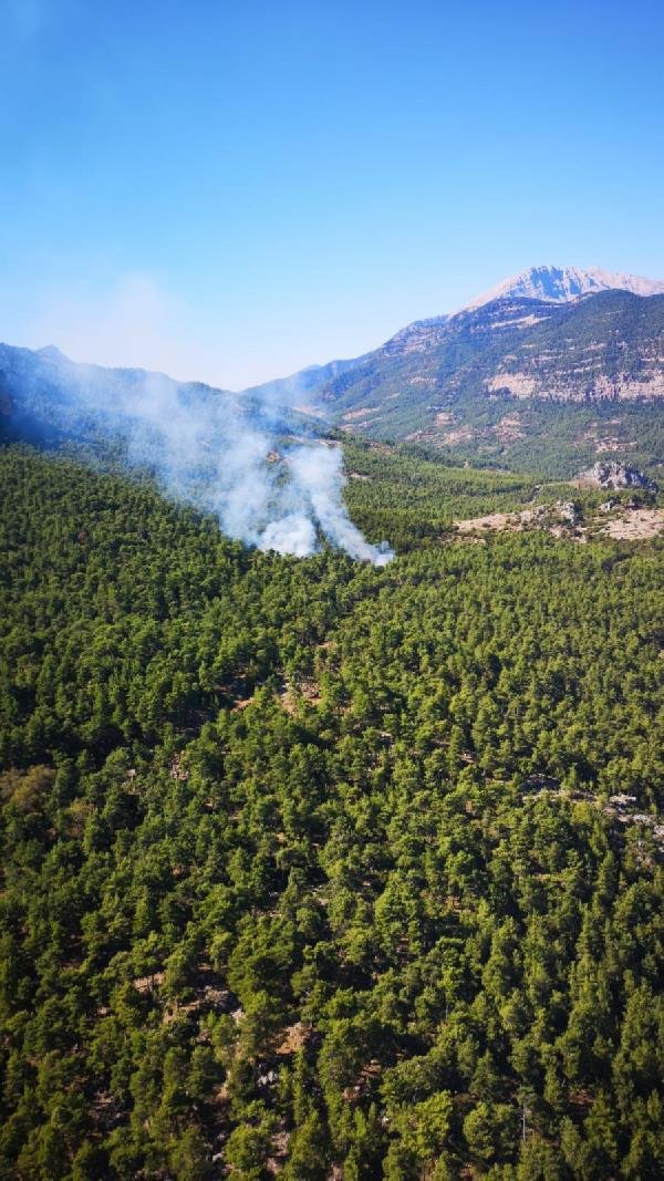 Antalya Serik'te orman yangını