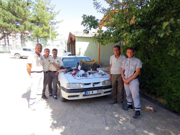 Sultan Sazlığı'nda kaçak şahin avına 2 gözaltı