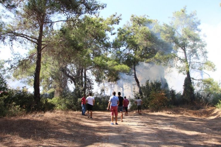 Antalya’daki orman yangını ucuz atlatıldı