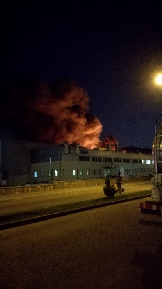 Aydın’da fabrika yangını