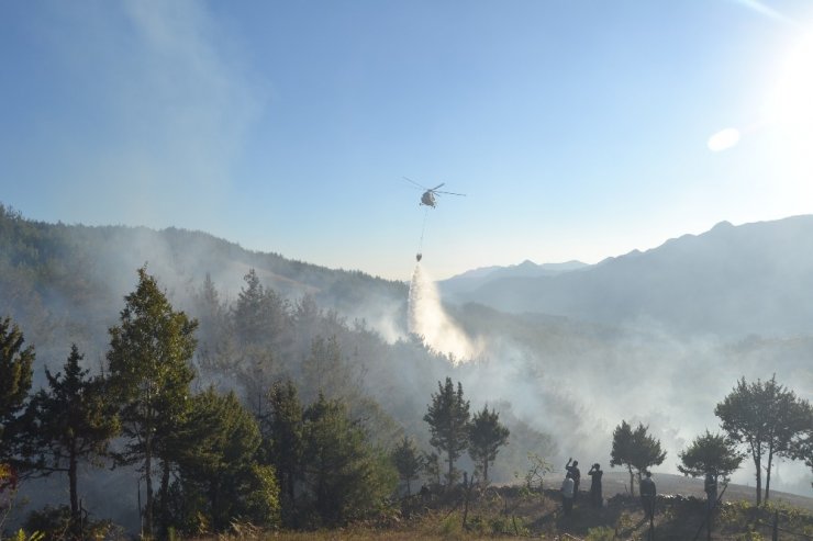 Adana’da yangında 2 hektarlık orman zarar gördü