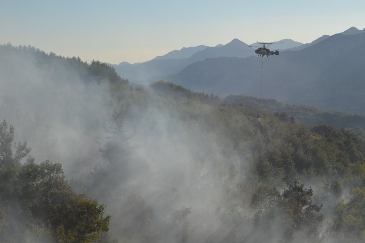 Adana’da yangında 2 hektarlık orman zarar gördü