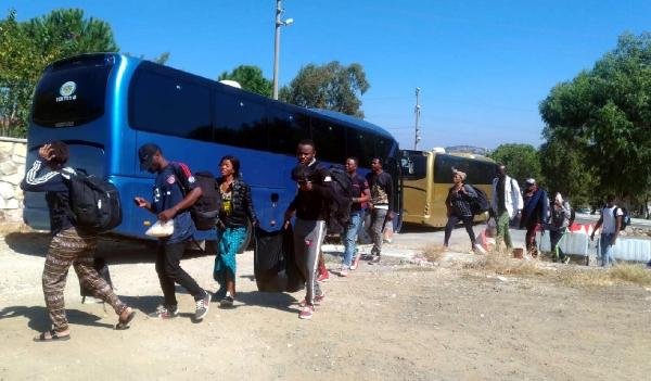 Foça'da 173 kaçak göçmen ile 2 organizatör yakalandı