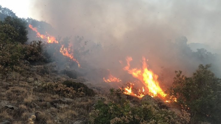 Aksaray’daki orman yangını 50 saat sonra kontrol altına alındı