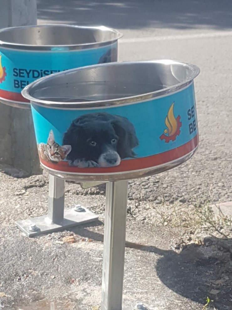 Seydişehir Belediyesi sokak hayvanları için beslenme istasyonları oluşturdu