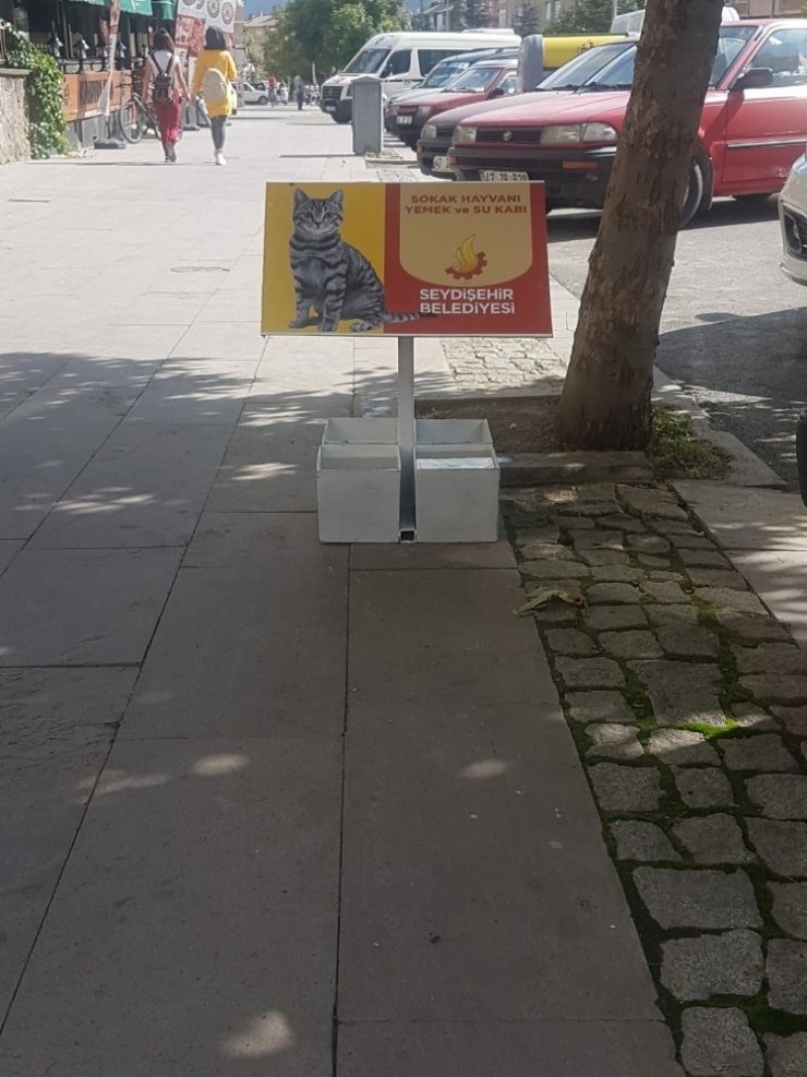 Seydişehir Belediyesi sokak hayvanları için beslenme istasyonları oluşturdu