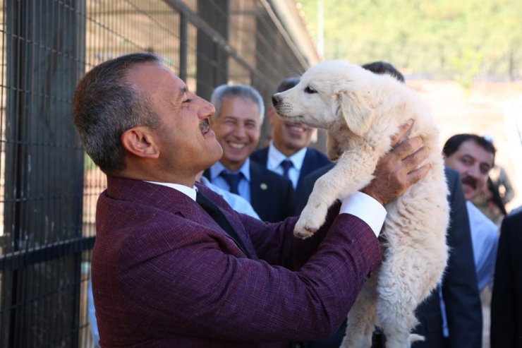 Türkiye’nin en işlevsel Hayvan Bakımevi Tunceli’de açıldı
