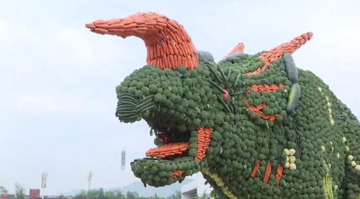 Çin’de dev sebze heykeli Guinness Rekorlar Kitabı’na girdi