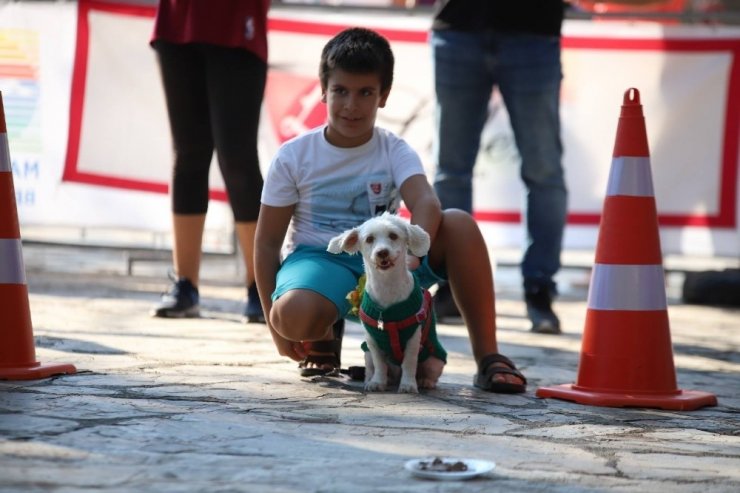 Marmaris’te köpek güzellik yarışması yapıldı