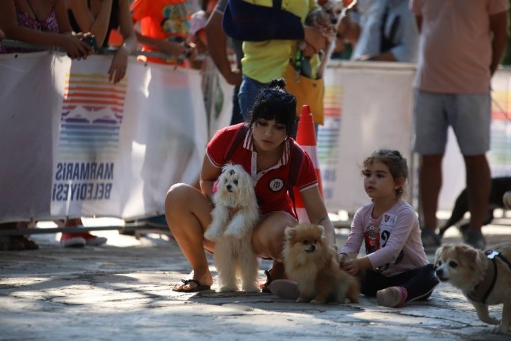 Marmaris’te köpek güzellik yarışması yapıldı