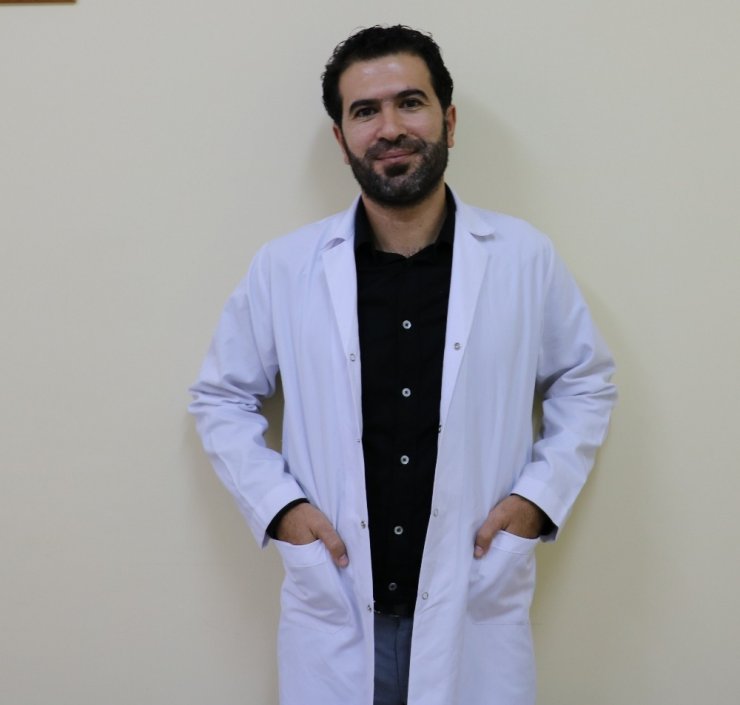 Köpek saldırırsa ağaç olun