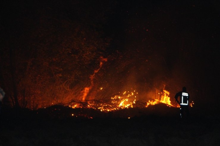 Antalya’da yerleşim alanlarını tehdit eden orman yangını kontrol altına alındı