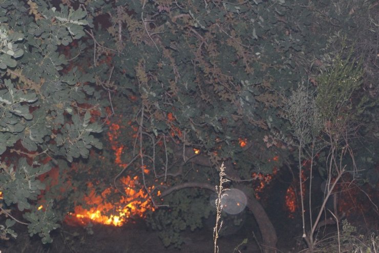 Antalya’da yerleşim alanlarını tehdit eden orman yangını kontrol altına alındı