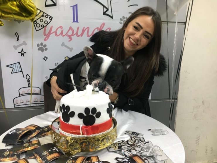 Çok sevdiği köpeğinin birinci yaşını doğum günü pastası ile kutladı