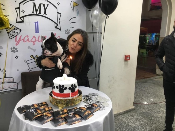 Çok sevdiği köpeğinin birinci yaşını doğum günü pastası ile kutladı