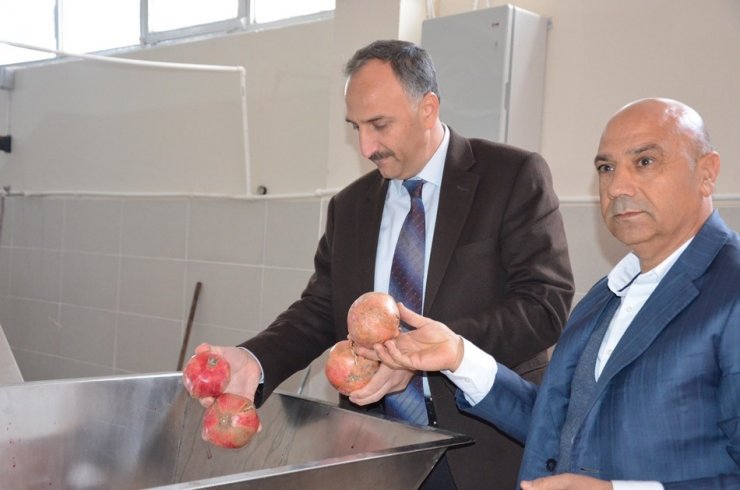 HRÜ’de organik meyve işleme tesisi açıldı