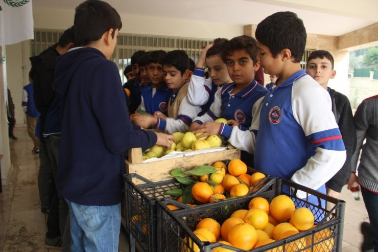 Minik öğrenciler Gazze’ye meyve yardım gönderiyor