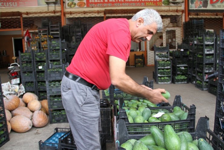 Antalya, Rusya ve Ukrayna’ya avokado yetiştiremiyor