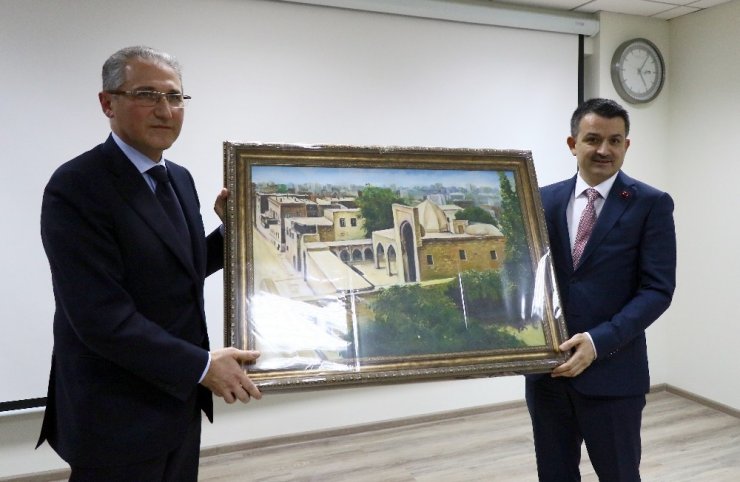 Bakan Pakdemirli, Azerbaycan Çevre ve Doğal Kaynaklar Bakanı Babayev ile görüştü