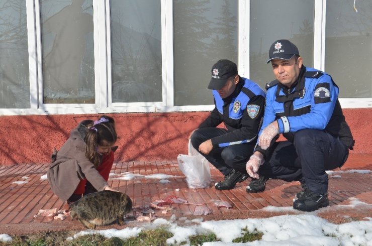 Polis ve öğrenciler, sokak hayvanları için doğaya yem bıraktı
