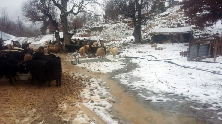 Antalya’da karda mahsur kalan 2 çoban ve sürüsü kurtarıldı