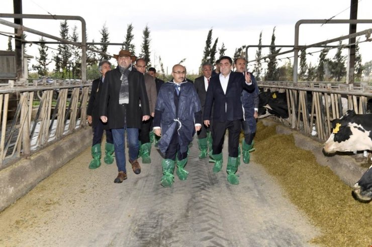 Vali Demirtaş: "Tarım sektörünün gelişmesine büyük önem veriyoruz"