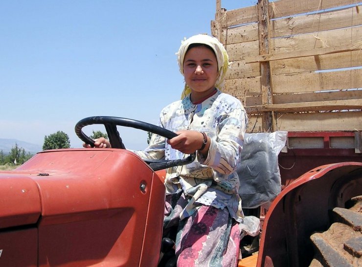 Aydın’da gençler tarımdan kaçıyor, çiftçilerin yaş ortalaması 58’e yükseldi