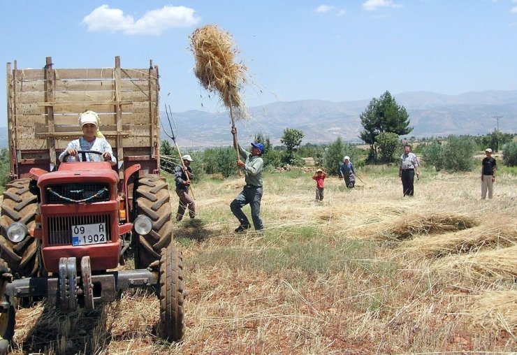 Aydın’da gençler tarımdan kaçıyor, çiftçilerin yaş ortalaması 58’e yükseldi
