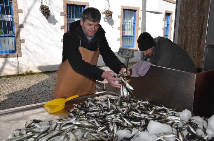 Karadeniz’deki fırtına balık fiyatlarını ikiye katladı