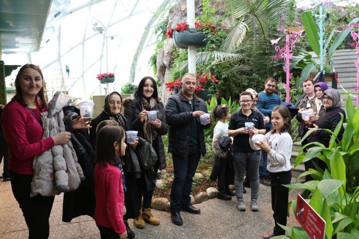 Tropikal Kelebek Bahçesi, yarıyıl tatilinde öğrencilere ücretsiz