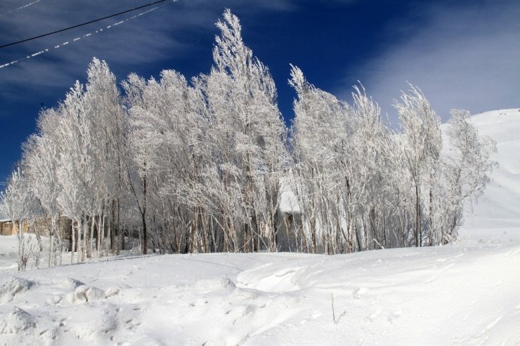 Çaldıran’da eksi 40 derecede elbiseler dondu, ağaçlar buz tuttu
