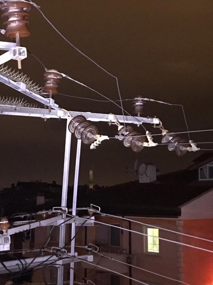Anteni dağıtım hattına düşürdü ilçeyi elektriksiz bıraktı