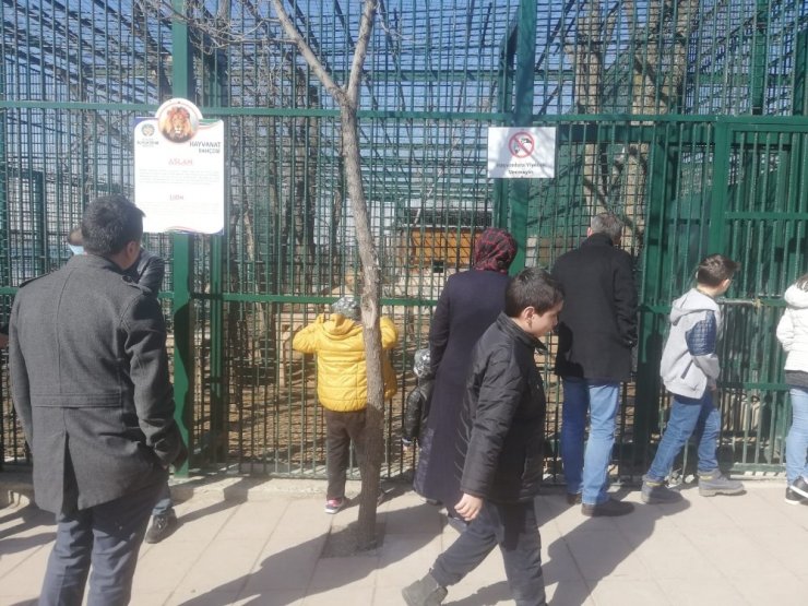 Güneşli havayı fırsat bilen Malatyalılar Tabiat Parkına koştu