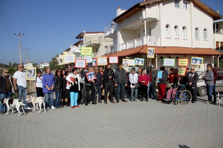 Fethiye’de sokak hayvanlarının zehirlenerek öldürülmesi protesto edildi